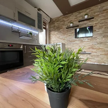 Guest House Amore 3*